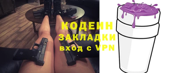 ECSTASY Алзамай