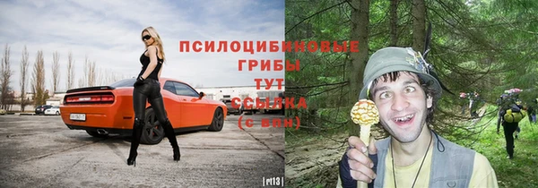 прущие грибы Арсеньев