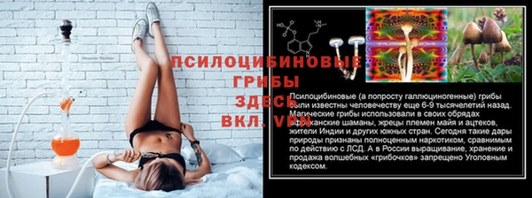 прущие крисы Армянск