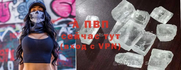 ECSTASY Алзамай