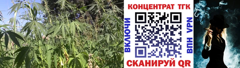ТГК концентрат  сколько стоит  Новый Оскол 
