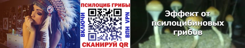 Галлюциногенные грибы MAGIC MUSHROOMS Новый Оскол